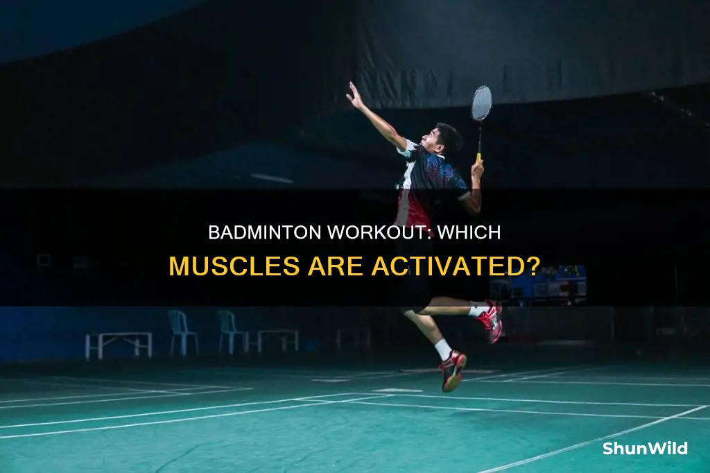 what muscle does badminton use