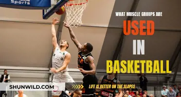 Unleash Your Potential: The Muscle Groups Powering Basketball