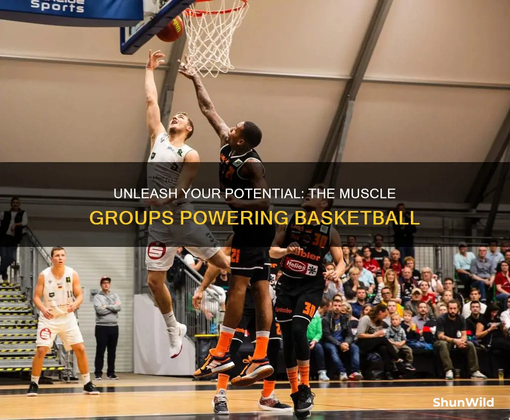 what muscle groups are used in basketball