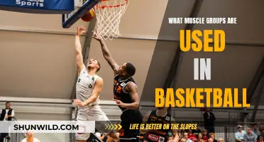 Muscle Groups That Power Basketball Performance