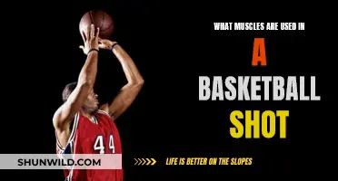 Unleash Your Shot: The Muscular Secrets Behind a Perfect Basketball Aim