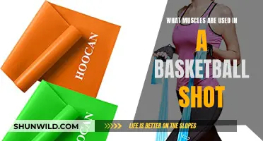 Muscle Movement: The Science Behind Basketball Shots