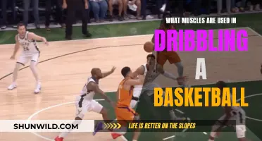 Dribbling a Basketball: Which Muscles are Key?