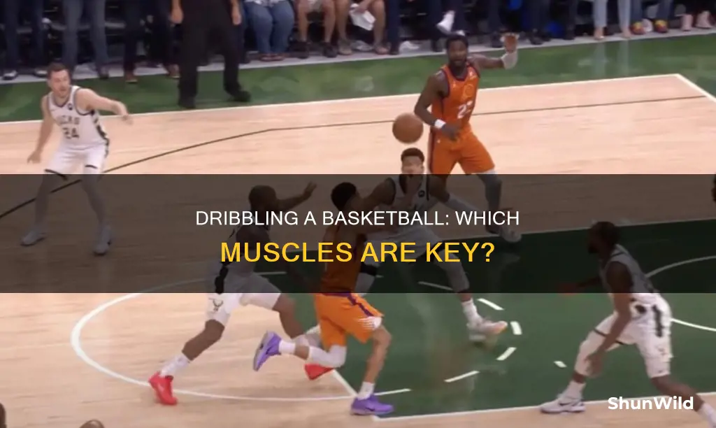 what muscles are used in dribbling a basketball