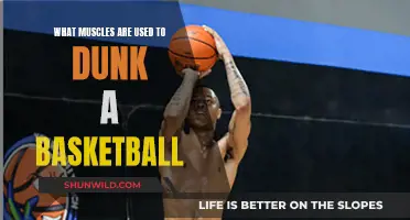 Unleash Your Dunk Power: The Muscle Secrets Revealed