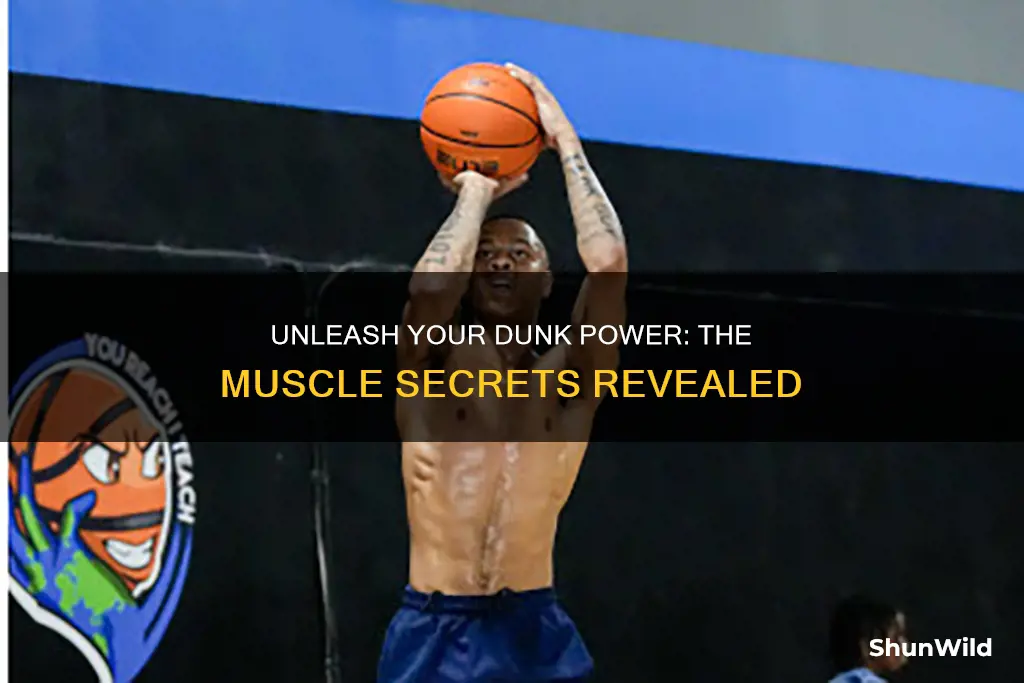 what muscles are used to dunk a basketball