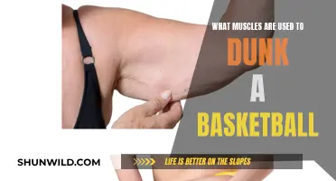 Dunking a Basketball: Which Muscles Make the Cut?