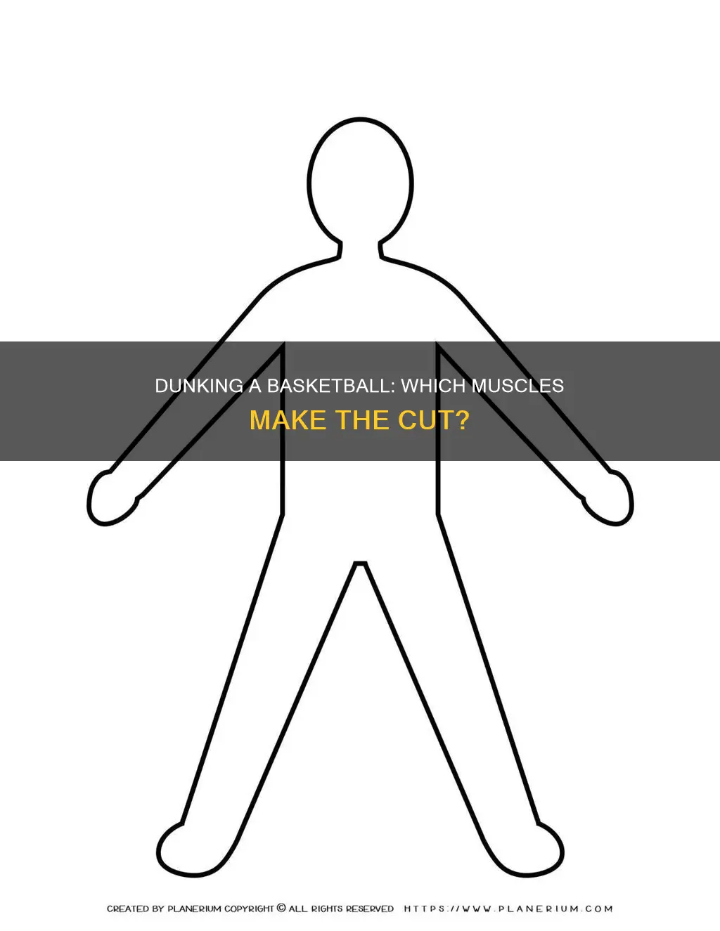 what muscles are used to dunk a basketball