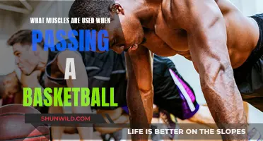 Passing a Basketball: Which Muscles are Involved?