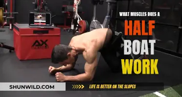 The Half Boat Workout: Targeting Your Core and Leg Muscles