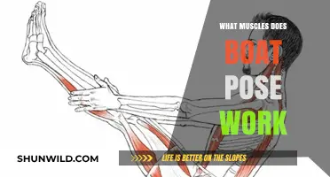 Uncover the Muscular Benefits of Boat Pose: A Deep Dive