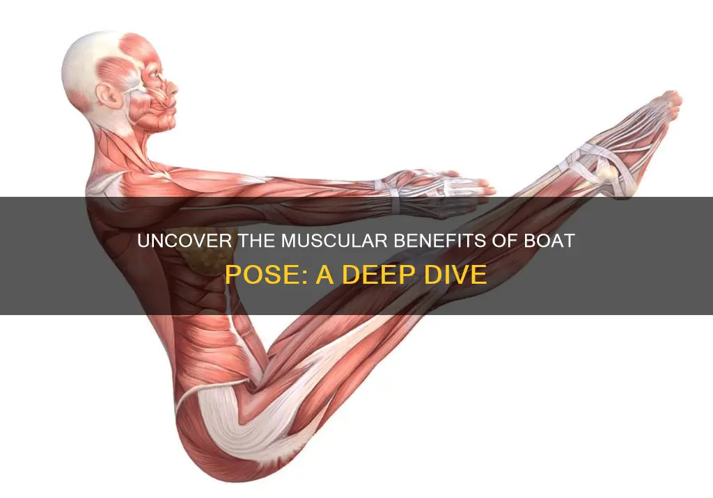 what muscles does boat pose work