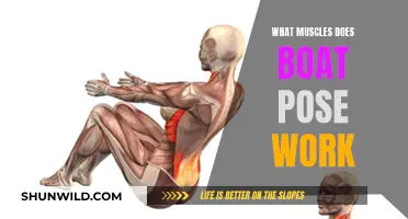Boat Pose: Which Muscles Does It Target?