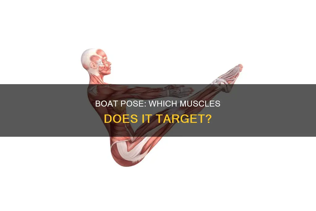what muscles does boat pose work