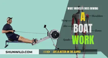 Rowing Workout: Targeting Muscle Groups for Full-Body Fitness