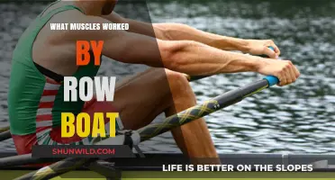 Uncover the Strengths: Which Muscles Power Your Row Boat?