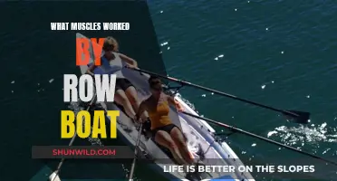 Rowing Workout: Which Muscles Get Activated When You Row?