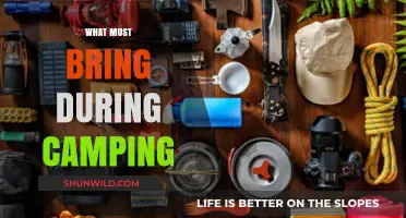 Essential Gear for a Memorable Camping Adventure