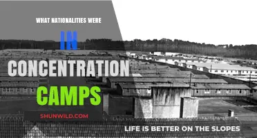 Diverse Nationalities Imprisoned: Exploring Concentration Camp Victims' Origins