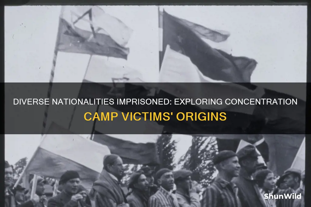 what nationalities were in concentration camps
