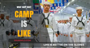 Inside Navy Boot Camp: Rigor, Discipline, and Transformation Explained