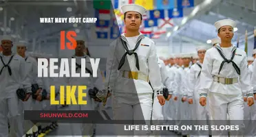Inside Navy Boot Camp: Real Life, Challenges, and Transformation Revealed