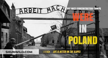 Poland's Nazi Concentration Camps: Locations, History, and Legacy Explored