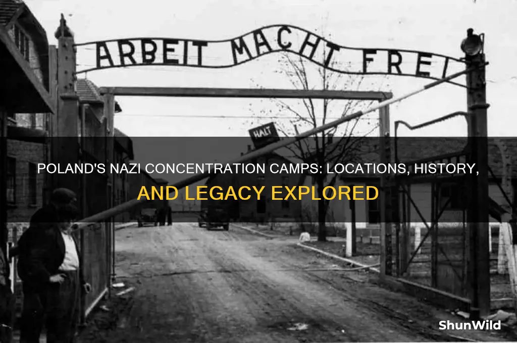 what nazi concentration camps were in poland