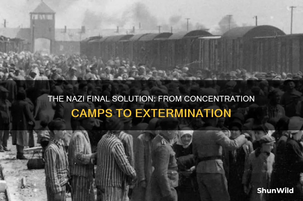 what nazi plan led to concentration camps and extermination camps