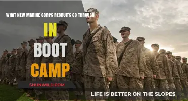Marine Corps Boot Camp: The Rigorous Journey of New Recruits