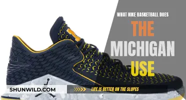 Michigan's Nike Basketball Shoe Choices Explored