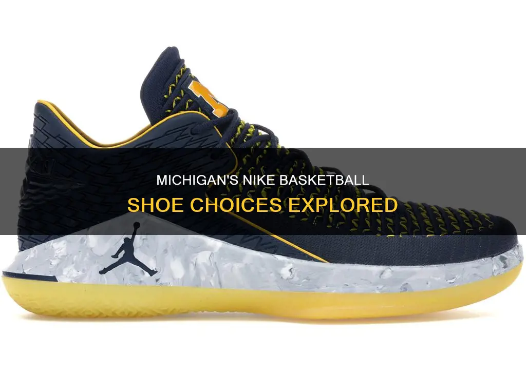 what nike basketball does the michigan use