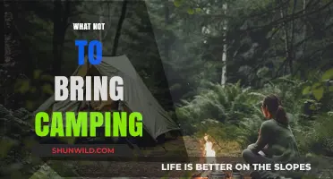 Essential Items to Leave Behind: A Camper's Guide to Minimalism