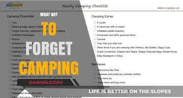 Essential Camping Checklist: What Not to Forget for Your Outdoor Adventure
