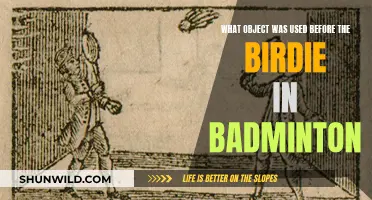 The Precursor to Badminton's Birdie: A Historical Perspective