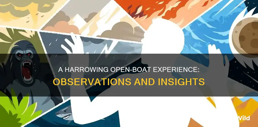 what observation is made concerningtheexperience in the open boat