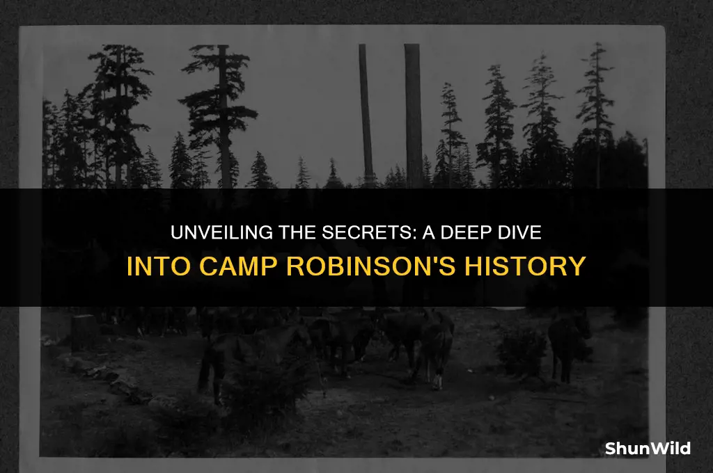 what occurred at camp robinson