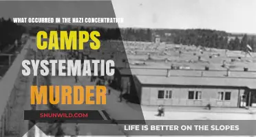 Systematic Murder in Nazi Concentration Camps: Uncovering the Horrors