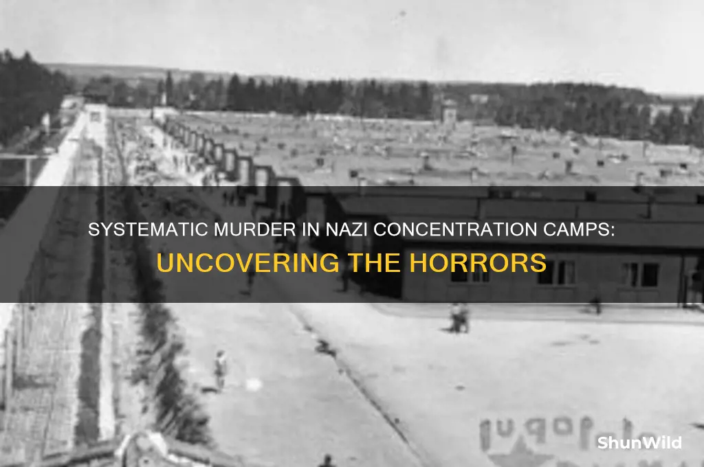 what occurred in the nazi concentration camps systematic murder
