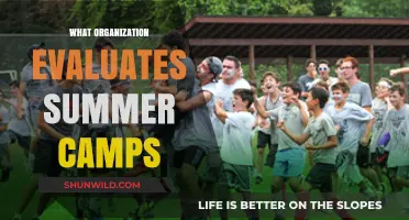 Discovering the Best Summer Camps: A Guide to Evaluating Options