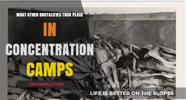 Beyond Genocide: Uncovering the Lesser-Known Horrors of Concentration Camps