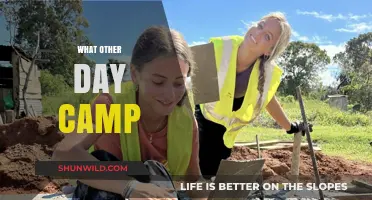 Exploring Alternatives: Day Camps Beyond the Traditional Options