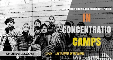 Hitler's Concentration Camps: Beyond Jews, Who Else Was Targeted?