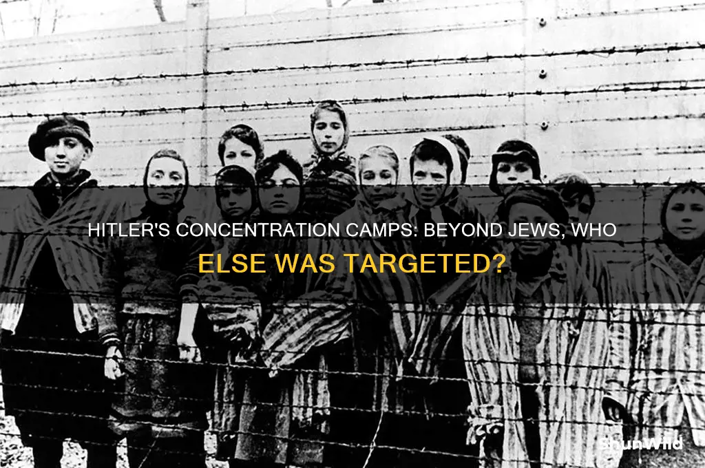 what other groups did hitler have placed in concentration camps
