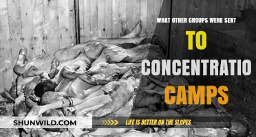 Beyond Jews: Other Groups Targeted and Sent to Concentration Camps