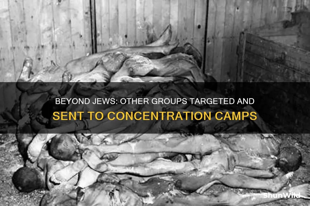 what other groups were sent to concentration camps