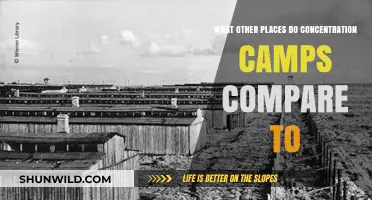 Concentration Camps: Parallels to Other Historical Sites of Oppression