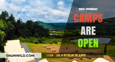 Summer Adventures Await: Overnight Camps Open for Fun and Learning