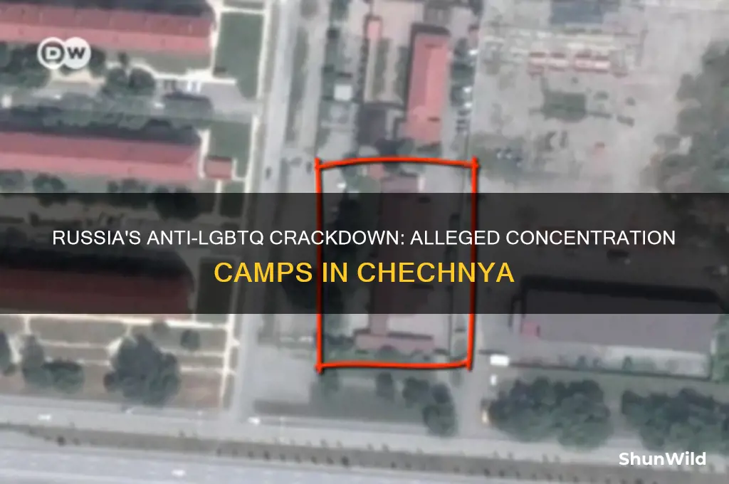 what part of russia is putting gays in concentration camps