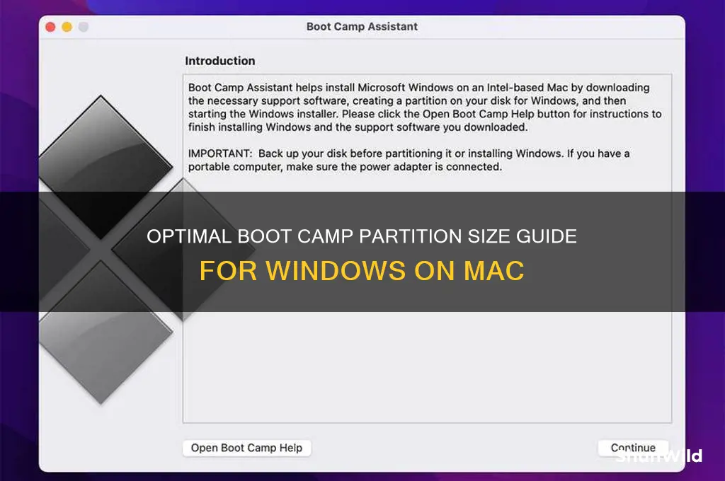 what partition size for boot camp